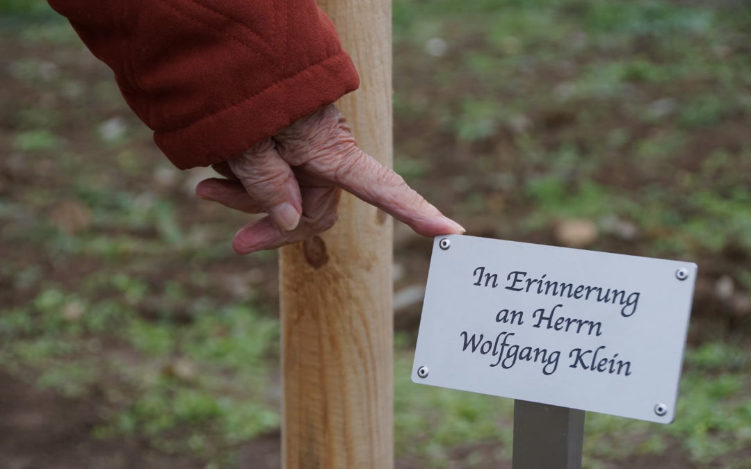 ‚Der Baum der Erinnerung‘ 