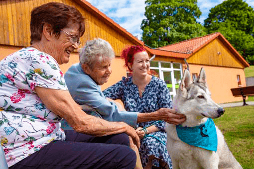 Tiergestützte Ergotherapie in Humanas Wohnparks