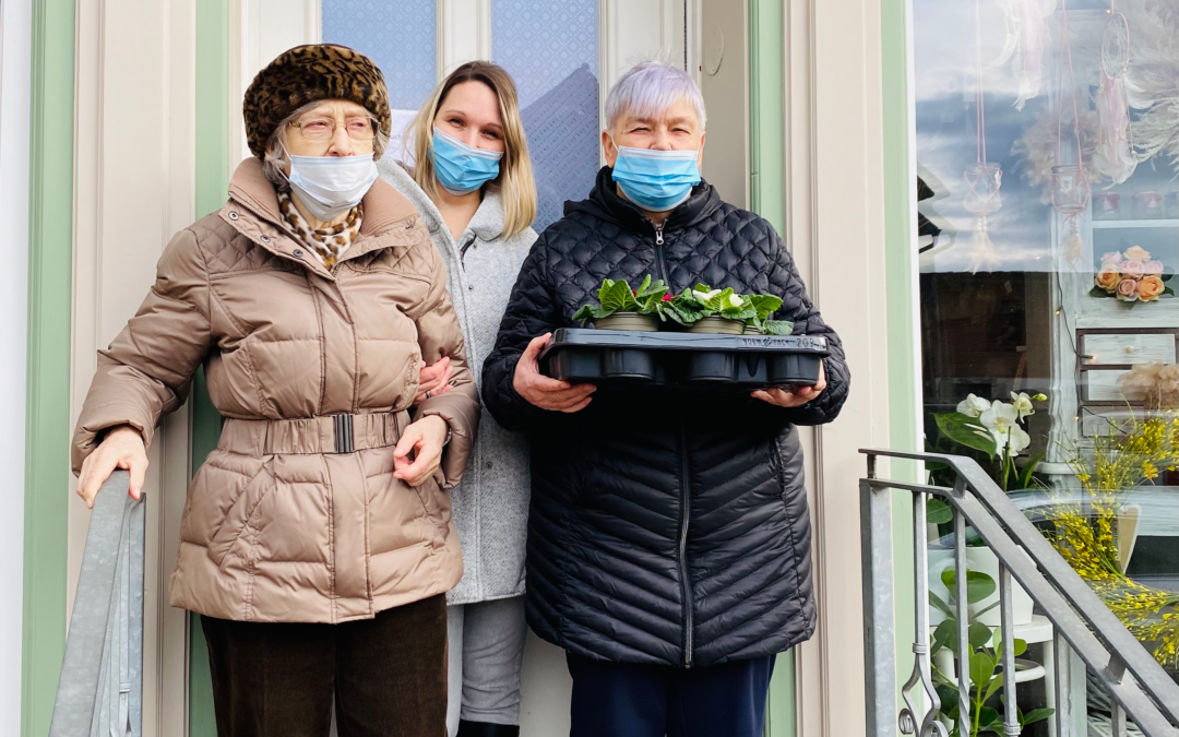 Frühlingsboten für die Nachbarschaft in Schwanebeck