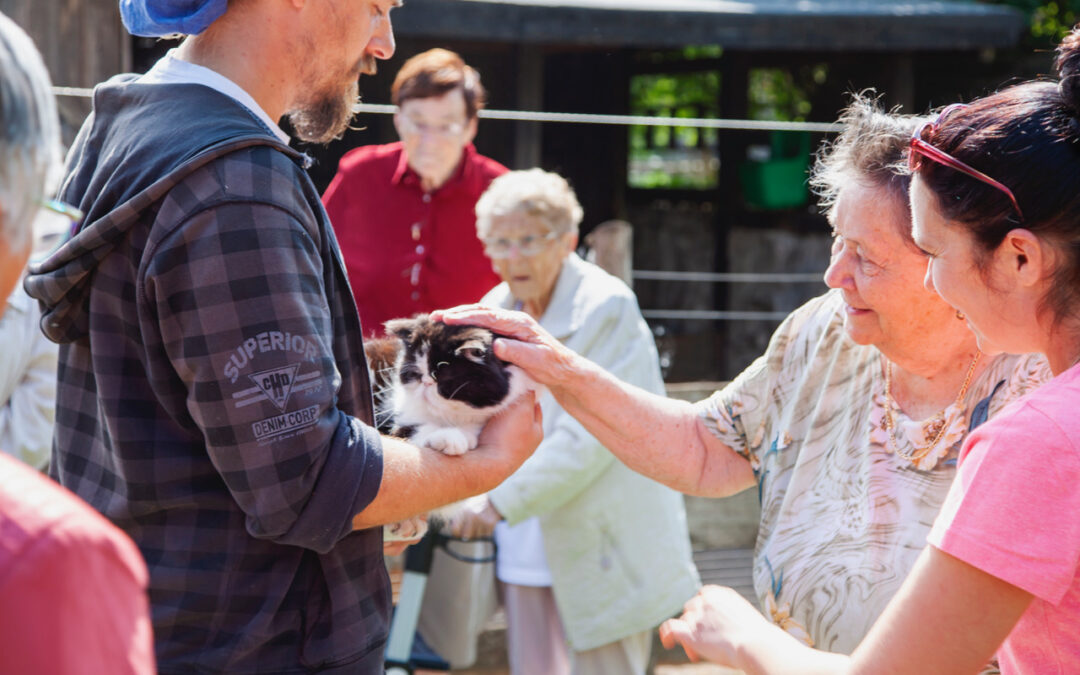 Wohnpark „Animalas“ zur Pflege alternder Tiere geplant