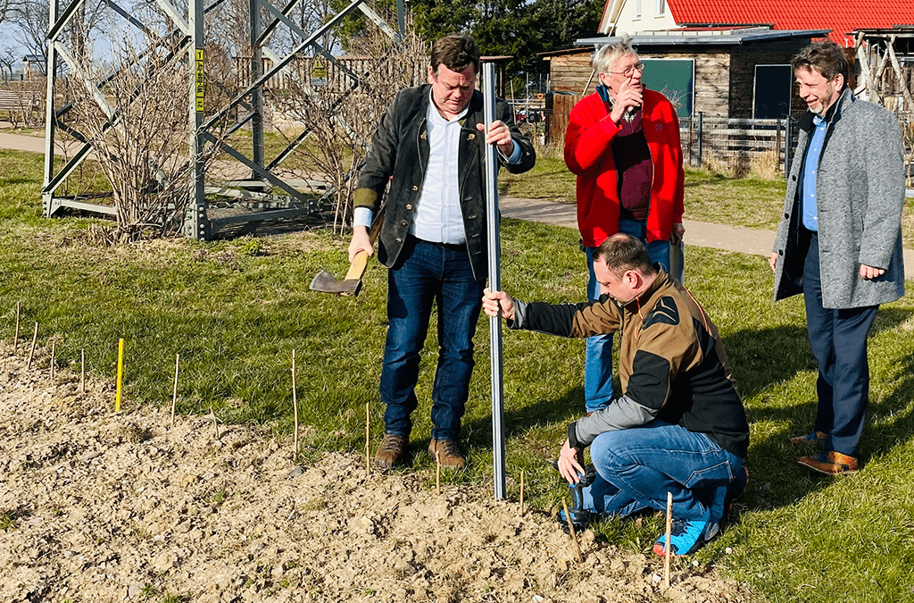 Pflanzprojekt für Nachhaltigkeit in Darlingerode