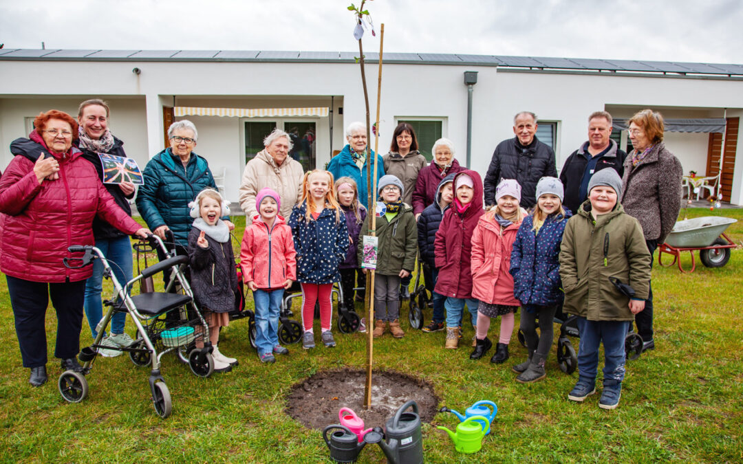 Klimabaum für den Wohnpark Gröbern