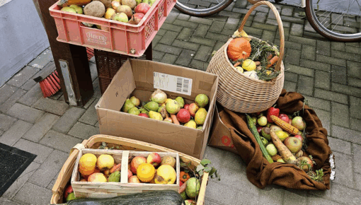 Dem Wohnpark in Tangermünde wurden unter anderem zahlreiche Äpfel und Birnen von Menschen aus dem Ort gespendet. Foto: Humanas