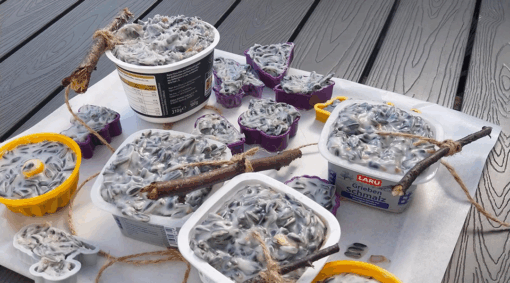 Vogelfutter selbstgemacht in Zielitz