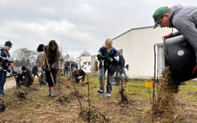 „Otto pflanzt“-Aktion mit Weihnachtsmarkt bei Humanas in Zielitz
