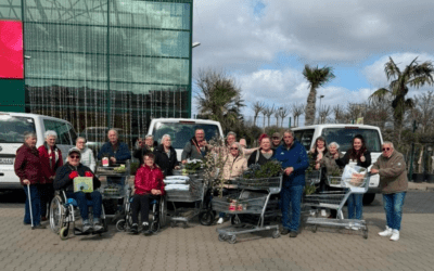 Frühlingspflanzen im Wohnpark Schwanebeck