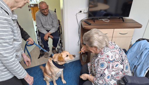Ehrenamtlich kommt eine Magdeburgerin regelmäßig mit ihrem Hund in den Wohnpark Diesdorf - sehr zur Freude der Bewohnerinnen und Bewohner. Foto: Humanas
