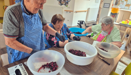 Frisch gesammelt und gemeinsam verarbeitet: Sommerfrüchte im Wohnpark Colbitz. Foto: Humanas
