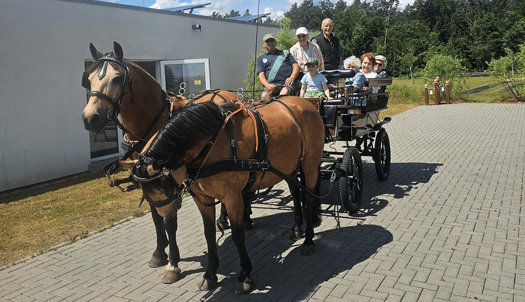 Wohnpark Grieben erkundet die Altmark