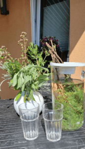 In Osterwieck wurde Cola-Kraut gerochen, verkostet und gemeinsam besprochen. Foto: Humanas
