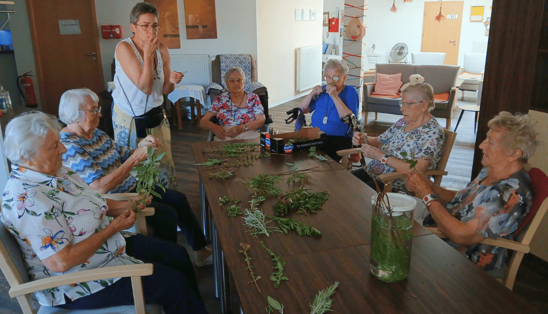 Bewohnerinnen und Bewohner entdecken beim Kräuternachmittag in Osterwieck verschiedene Gartenkräuter. Foto: Humanas