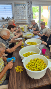 Bewohnerinnen und Bewohner aus Colbitz verwandeln ihre Ernte in Marmelade und Kompott. Foto: Humanas
