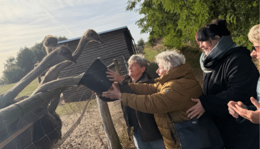 Unsere Bewohnerinnen und Bewohner erfuhren so viele interessante Dinge über diese außergewöhnlichen Tiere und waren begeistert, wie beeindruckend und gleichzeitig lustig diese großen Laufvögel sein können. Foto: Humanas
